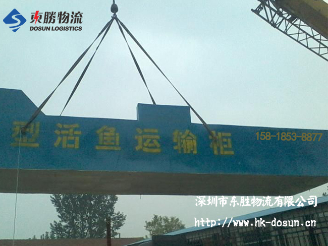 物流活體魚要注意哪些事項？該怎么運輸？深圳到香港物流,香港深圳貨運運輸,深圳香港進出口,深港物流專線,中港物流,東勝物流集團-大件物流到香港