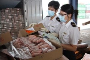 深圳凍肉進口報關公司；深圳到香港物流-深圳東勝物流